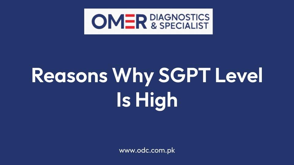 Reasons Why SGPT Level Is High