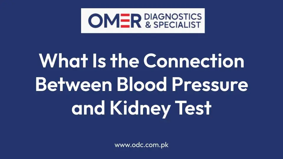 What Is the Connection Between Blood Pressure and Kidney Test